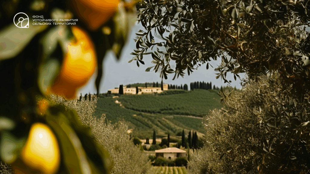 Как Италия возвращает молодежь в села